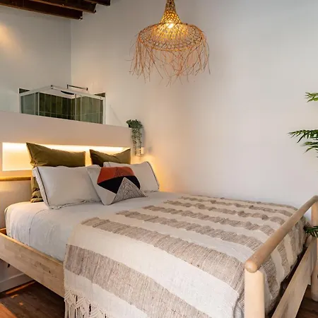 Hostal The Urban Jungle