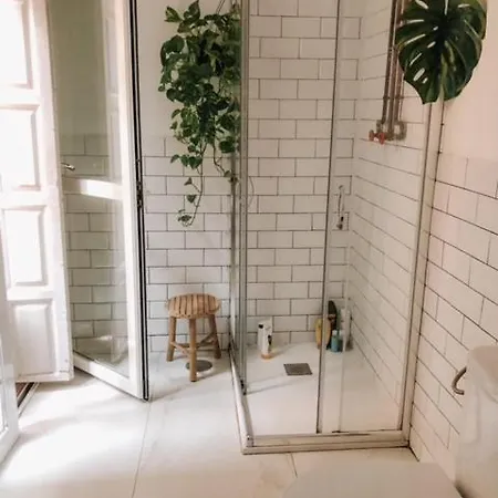 The Urban Jungle Hostel