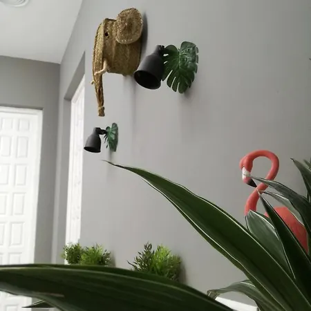 The Urban Jungle Hostel