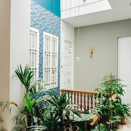 The Urban Jungle Hostel