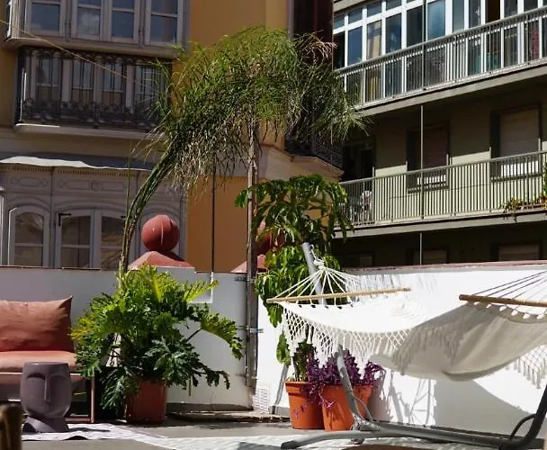 Hostel The Urban Jungle